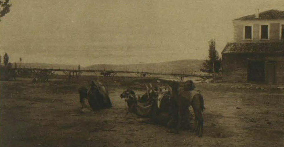 From the Turkish side: Camels resting on the Kodgo Tichai river at Chanak, opposite Kilid Bahr